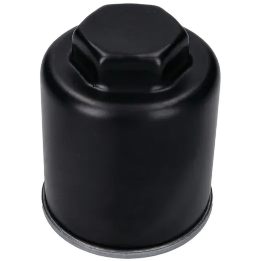 Ölfilter für Maxi-Roller 4-Takt Piaggio-Motor VC25755_1