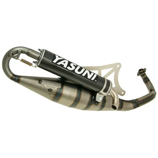 Auspuff Yasuni Scooter R Carbon für Piaggio YA420C