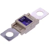 MEGA Fuse 175A 68.8x19 JMP White Pack of 5