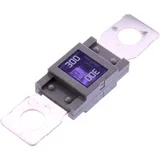 Sicherung MEGA 300A 68.8x19 JMP grau Packung 5 Stück