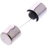 GLASS FUSE 6.3A 20x5 for Car Radios