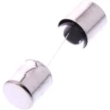 Glass Fuse 10A 20x5 for Car Radios