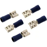 Flat huel 2.5 blue jmp 1580226