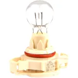 12V 19W PG20-1 Bulb for Motorcycles
