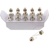 12V 10W SV8.5-8 Bulb JMP for Motorcycles