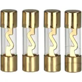 Glassicherung TR Set 80A 38 x 10.3 AGU Inhalt 4 Stück