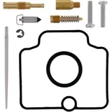 Carburettor repair kit all balls racing 261395