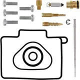 Carburettor repair kit all balls racing 261502