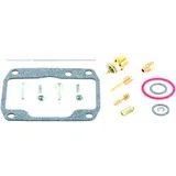 Vergaser Reparatursatz Vollsatz für Motorräder 7241998