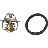Thermostat MQ
