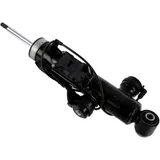 SHOCK ABSORBER GAS