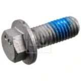 Brake Caliper Screw M10 x 1.5 x 25 mm for: Ford, Volvo