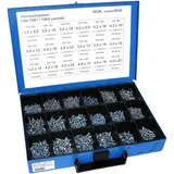BlechScrew galvanised assortment 7983
