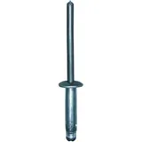BLIND RIVET 4.8X20.5 for Ford Models