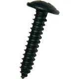 BlechScrew M Torx 4.8X19