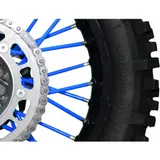 Speichencover blau BlackBird Racing