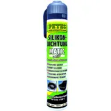 Dichtungsmasse Silikon 200 ml für Motorräder