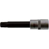 Spline Insert 1/2 M12 - Socket Tool for Maintenance