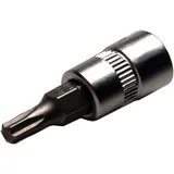 Torx-Einsatz 1/4 Zoll T10 für Motorräder