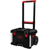 Trolley mit 1 Koffer