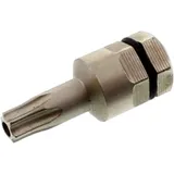T25 Torx Bit with 5/16=8MM Hole