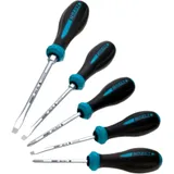 5-Piece Screwdriver Set for Various Applications