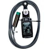 END SWITCH LARGE SCHMERSAL for AHS Brake Test Stands