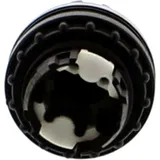 WAHLTASTE Nussbaum für LICHT CLT 990446