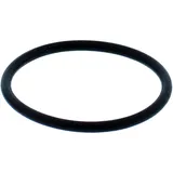 O-Ring für Nussbaum Kolben