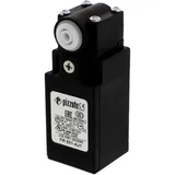 Ravaglioli FR551A End Switch for Motorcycles