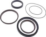 Dichtsatz für Hydraulikstempel Maestro M30