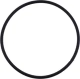SEAL RING 52X2 for JAB TWIN RAM 195627