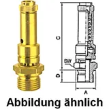 Safety Valve 11 bar G 1/4 for Compressed Air and Non-Toxic Gases
