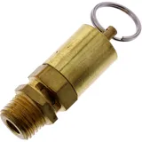Pressure Relief Valve for Oil Extractors G 1/4 1 bar