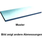 Galvanized Shelf 100kg 970 x 300 for Rauscher