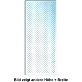 Perforated Shelf Plate, Galvanized 1450x800MM