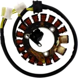 Lichtmaschinenstator für Tourmax