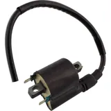 ignition coil / spark coil 211210039
