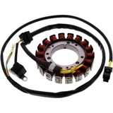 Lichtmaschinen Stator für Tourmax 7001949