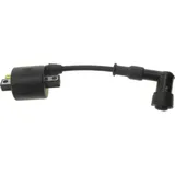 Ignition coil 979295