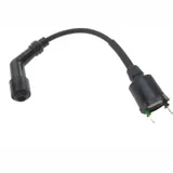 Ignition coil 979297