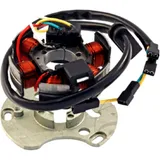 Stator for: Derbi Senda, GPR, Aprilia RS4, RS