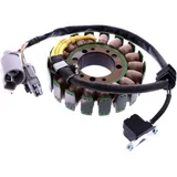 Lichtmaschinen Stator für Tourmax 7002745