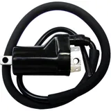 Ignition coil for: Ducati Monster, Supersport, SL, Hyosung GT, GV