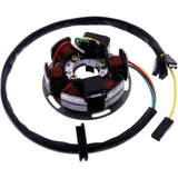 Lichtmaschine Stator JMP Alternative: 7002611 passend für: Derbi Senda, GPR