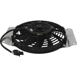 Fan all balls racing 701017