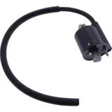 Ignition coil 1105096