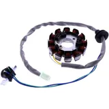 Stator 101 Octane for: Yamaha CS, YN, YQ, YH, Adly/Her Chee/Herkules ATV, RS, GTA