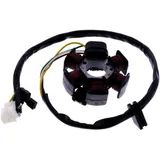 Lichtmaschine Stator 101 Octane passend für: Derbi Senda, GPR, Fenix, Malaguti F (12, 10, 15), Centro, Ciak