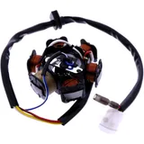 Lichtmaschine Stator 101 Octane passend für: PGO T - Rex, PMX, Big Max